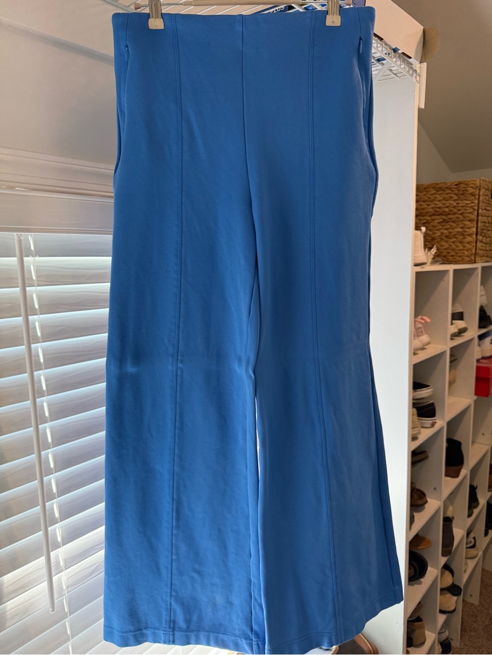 LOFT Bright Blue Wide-Leg Women's Pants